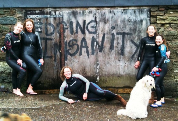 Edging Insanity - Fiona Gough, Michelle Glossop Smith, Siobhan Russell, Rosaleen MacKweon & Ger Venner