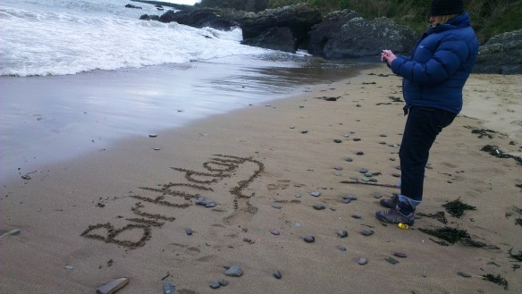 Susan Thornton - Birthday beach