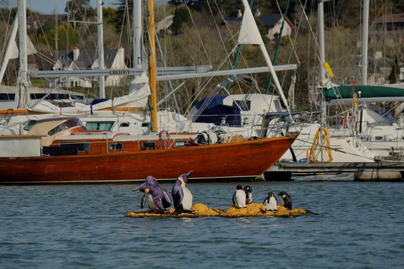 Open water swimming Cork Ireland