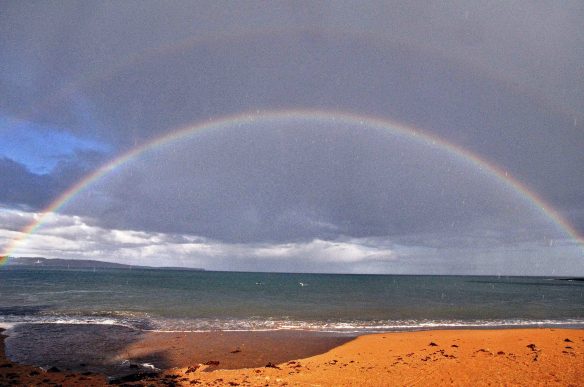 Open water swimming in Cork, Ireland