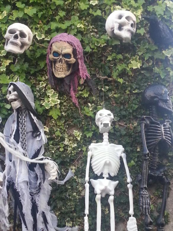 Open water, sea swimming in Cork, Ireland