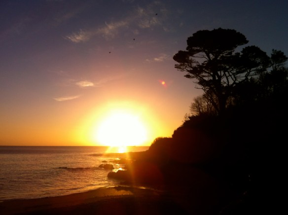 Open water, sea swimming in Cork, Ireland