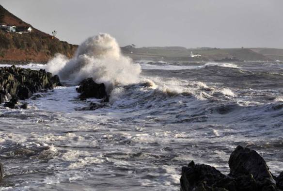 Open water, sea swimming in Cork, Ireland