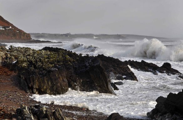 DSC_0722-20140212-201026