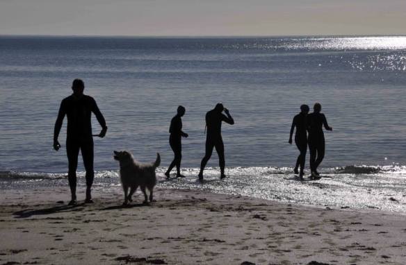 Open water, sea swimming in Cork, Ireland.