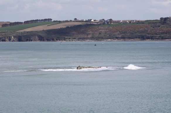 Open water, sea swimming in Cork, Ireland.