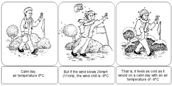 windchill_cartoon_600