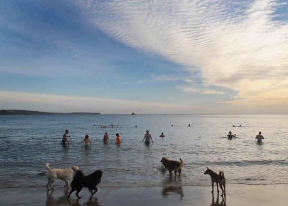 Open water, sea swimming in Cork, Ireland.