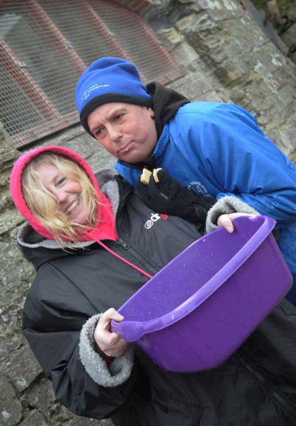 Gordon - overdoing the cake?