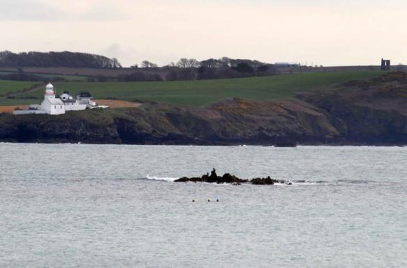 11109448_1106430622716157_913229646945247105_n