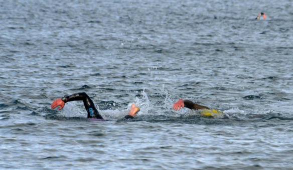 11253925_1143527839006435_3638682409664942765_o