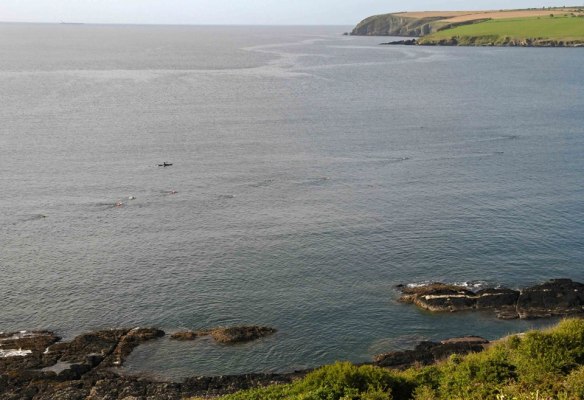 11249406_1151844124841473_580131602277407568_n