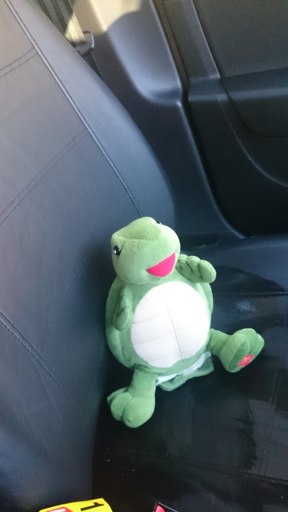 Last seen wearing - Myrtle.