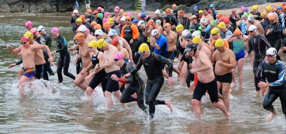 13417407_1436088503083699_4161321794540013812_n