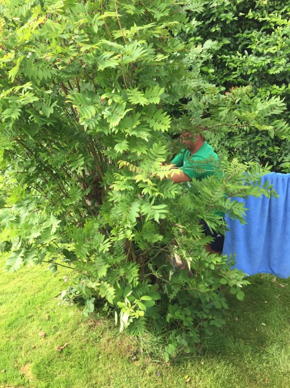 Open water swimming.