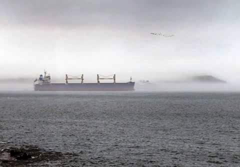 A Flock of Seagulls? Ah, Siobhan!